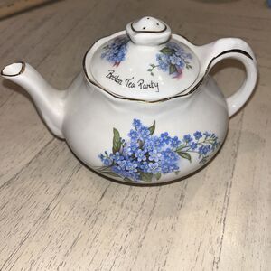Crown Dorset Teapot Forget Me Not Flowers Boston Tea Party Staffordshire